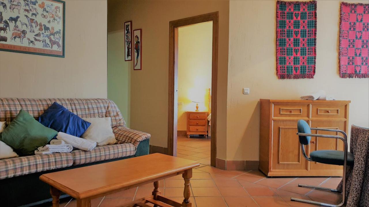 Ski & Snow Apartmentos By Todosierranevada - Plaza Principal Junto A Los Telecabinas 塞拉内华达 外观 照片